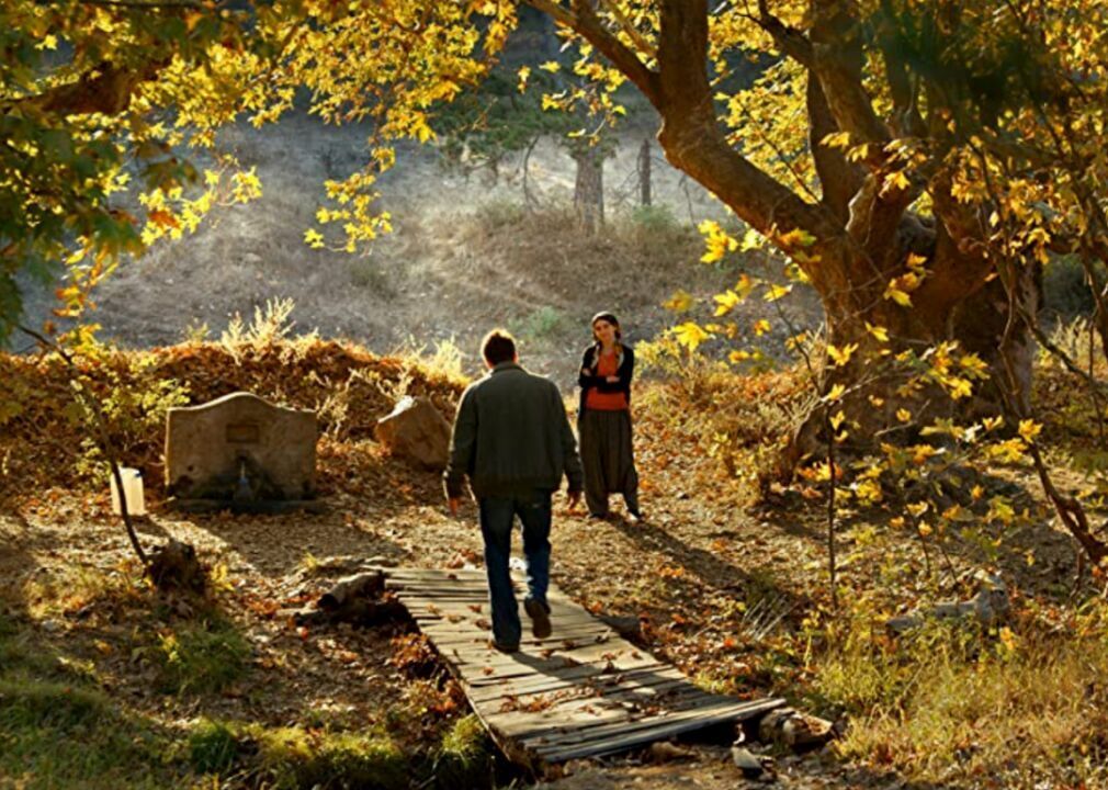 #23. The Wild Pear Tree (2018)